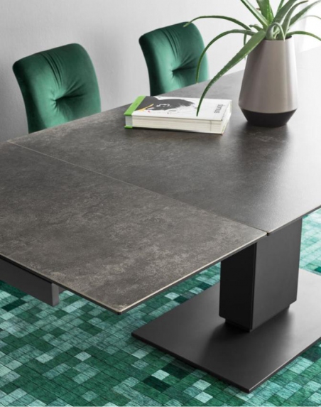 Echo Extendable  - 17678